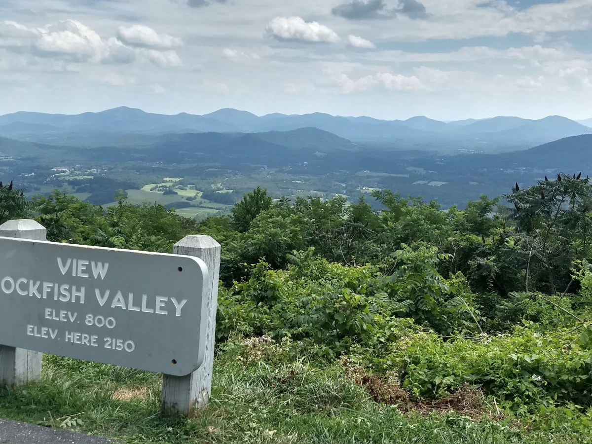 Wednesday, July 29,&nbsp;2020